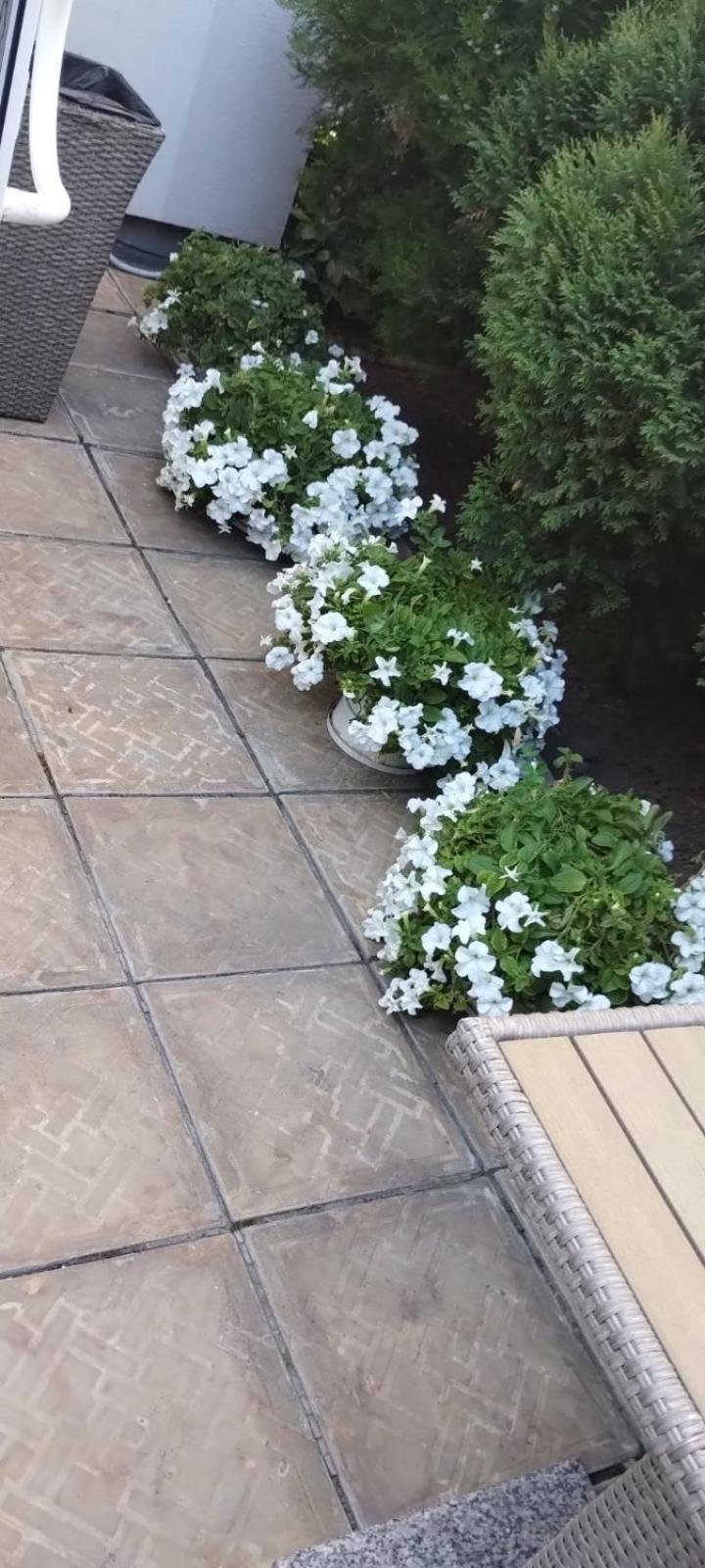 Шляпа Hotell Dnipro Exteriör bild