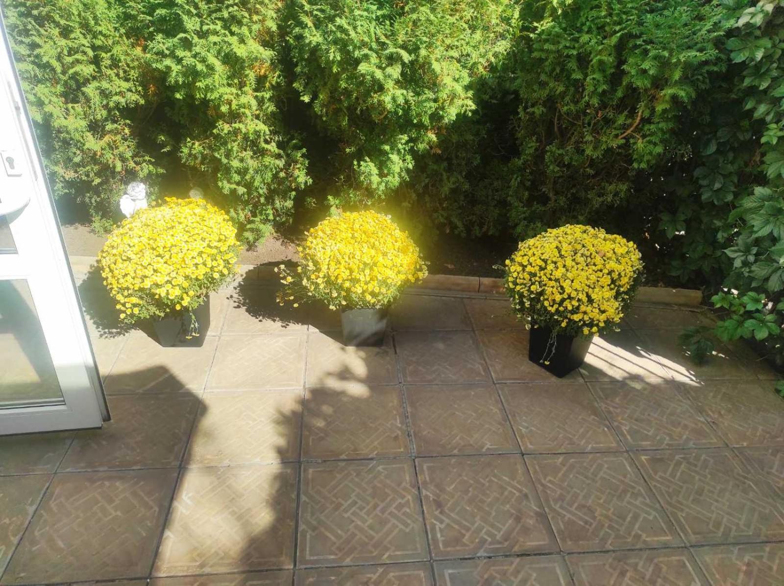 Шляпа Hotell Dnipro Exteriör bild
